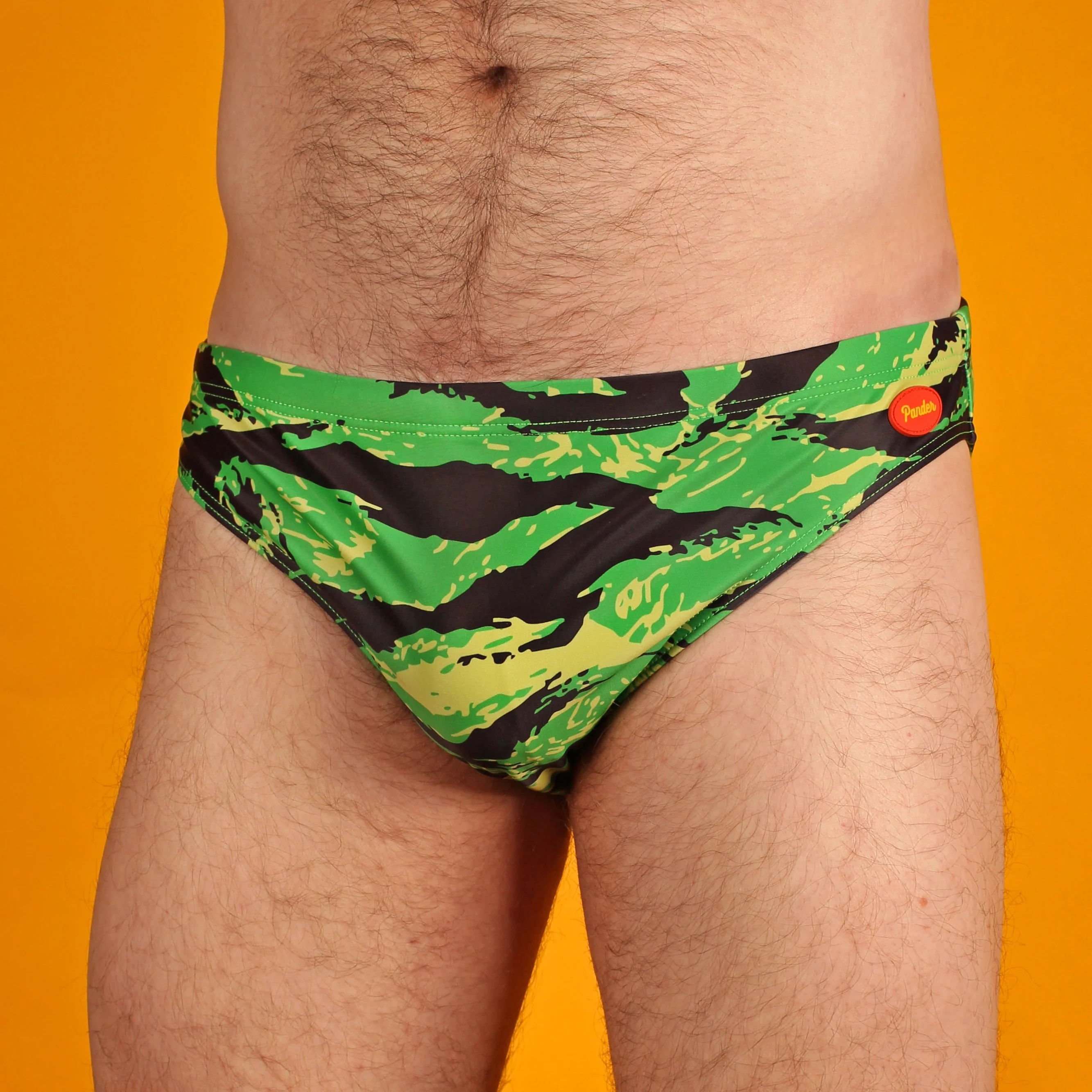 Swim Briefs